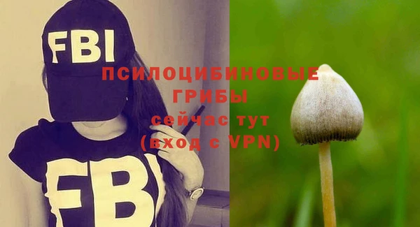 хмурый Абинск