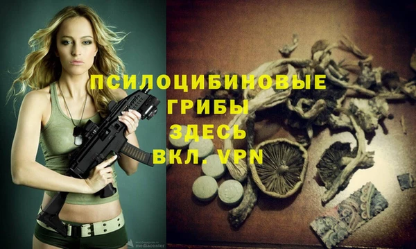хмурый Абинск