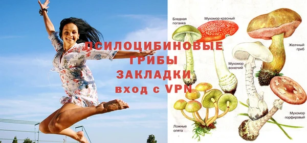 хмурый Абинск
