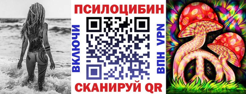 Галлюциногенные грибы Psilocybine cubensis  Вологда 