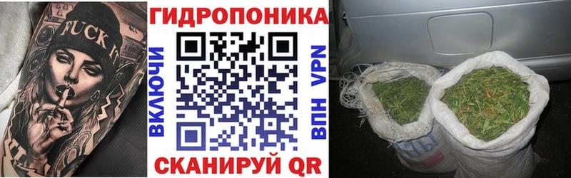 Марихуана тримм  Вологда 